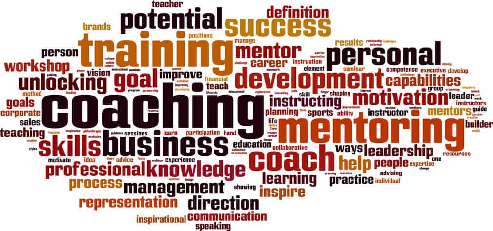 Word cloud of words related to professional management - stand outs are: coaching, mentoring, training